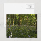 Carte Postale Des Cellules Bleues Dans Une Forêt (Devant / Derrière)