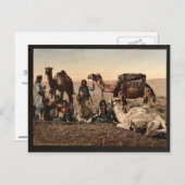 Carte Postale Des chameaux s'arrêtent dans le désert, Terre Sain (Devant / Derrière)