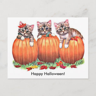 Carte Postale Des chatons en Citrouille pour Halloween