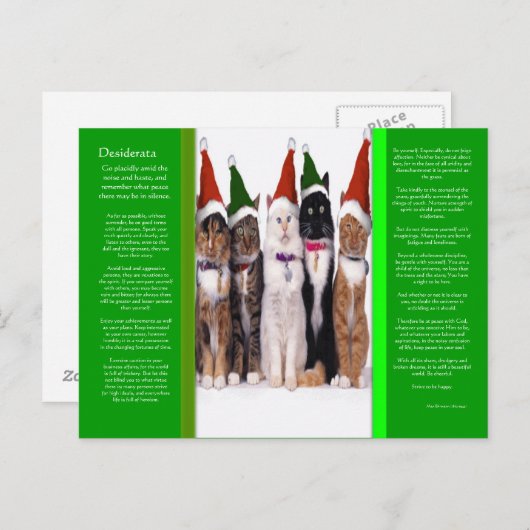 Carte postale des chats de Noël DESIDERATA (Devant / Derrière)