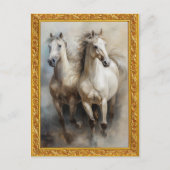 Carte postale des Chevaux blancs (Devant)