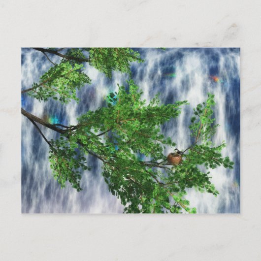 Carte postale des chutes de Birdsnest (Devant)
