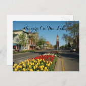 CARTE POSTALE DES CHUTES DU NIAGARA (Devant / Derrière)