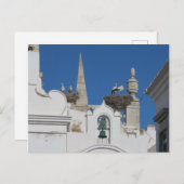 Carte Postale des cigognes construisent des nids sur l'église da (Devant / Derrière)