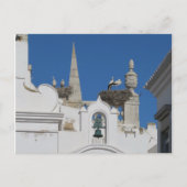 Carte Postale des cigognes construisent des nids sur l'église da (Devant)