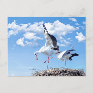 Carte Postale Des cigognes dans le ciel