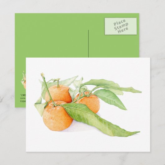 Carte postale des clémentines de Noël (Devant / Derrière)