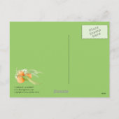 Carte postale des clémentines de Noël (Dos)