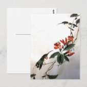 Carte postale des colibris (Devant / Derrière)