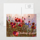 Carte Postale Des coquelicots arty ! (Devant / Derrière)