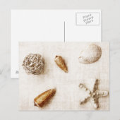 carte postale des coquillages (Devant / Derrière)