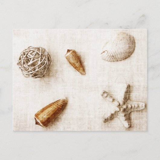 carte postale des coquillages (Devant)