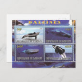 carte postale des dauphins de baleine (Devant / Derrière)