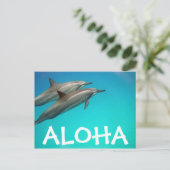 Carte postale des Dauphins d'Hawaii (Debout devant)