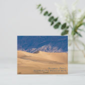 Carte postale des dunes de Mesquite Death Valley N (Debout devant)