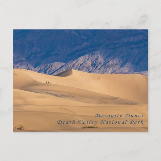 Carte postale des dunes de Mesquite Death Valley N (Devant)
