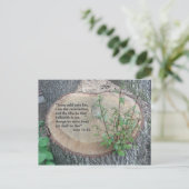 Carte postale des écritures (Debout devant)