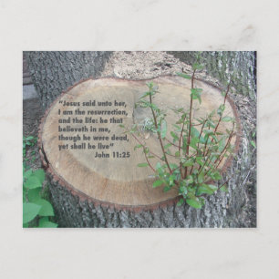 Carte postale des écritures