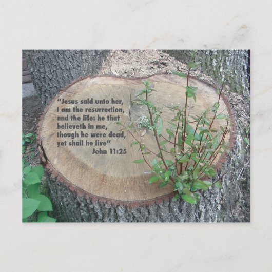 Carte postale des écritures (Devant)