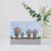 Carte postale des éléphants itinérants (Debout devant)