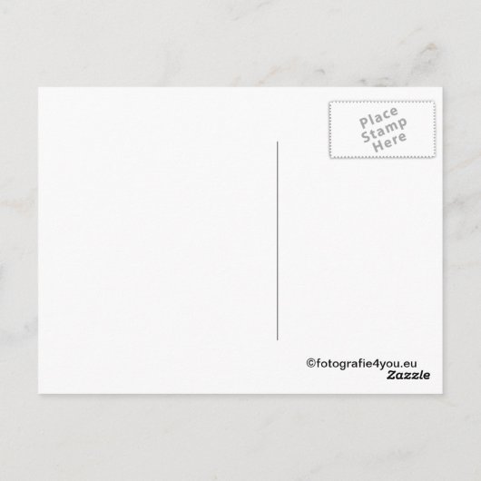 carte postale des étalons sauvages (Dos)