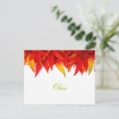 Carte postale des feuilles d'automne de l'Ohio (Debout devant)