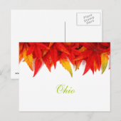 Carte postale des feuilles d'automne de l'Ohio (Devant / Derrière)
