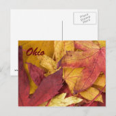 Carte postale des feuilles d'automne de l'Ohio (Devant / Derrière)