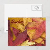 Carte postale des feuilles d'automne de Québec (Devant / Derrière)