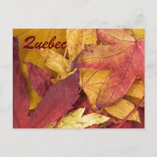 Carte postale des feuilles d'automne de Québec (Devant)