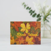 Carte postale des feuilles d'automne de Rhode Isla (Debout devant)