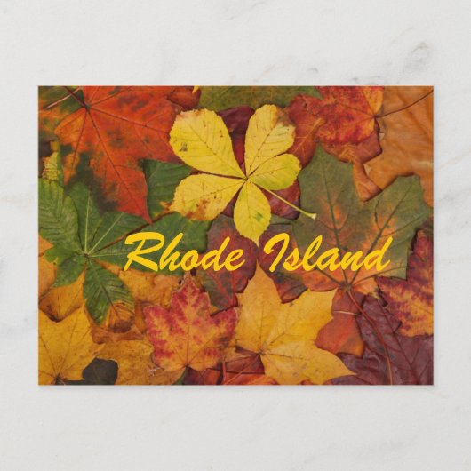 Carte postale des feuilles d'automne de Rhode Isla (Devant)