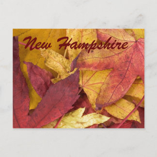 Carte postale des feuilles d'automne du New Hampsh