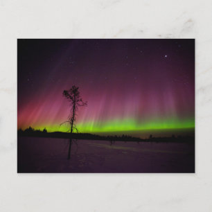 Carte postale des feux du Nord