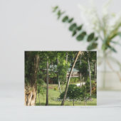 Carte postale des Fidji (Debout devant)