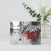 Carte Postale Des fleurs à Montréal (Debout devant)