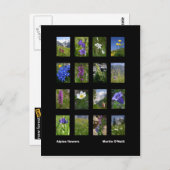 Carte postale des fleurs alpines (Devant / Derrière)