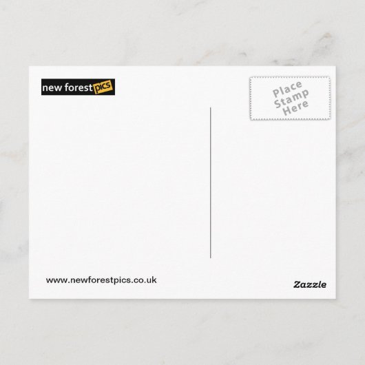 Carte postale des fleurs alpines (Dos)