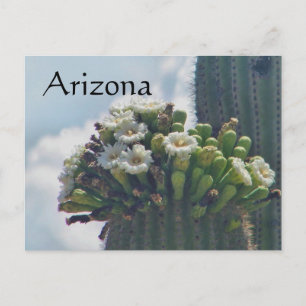 Carte postale des fleurs de cactus du Saguaro, Ari