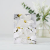 Carte postale des fleurs de Magnolia (Debout devant)