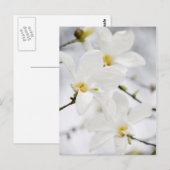 Carte postale des fleurs de Magnolia (Devant / Derrière)