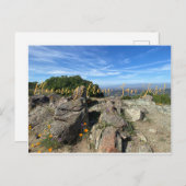 Carte Postale Des fleurs de San Jose ! (Devant / Derrière)