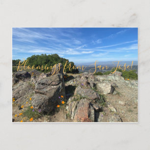 Carte Postale Des fleurs de San Jose !