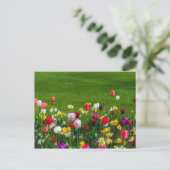 Carte postale des fleurs du printemps (Debout devant)