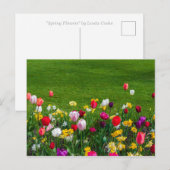 Carte postale des fleurs du printemps (Devant / Derrière)