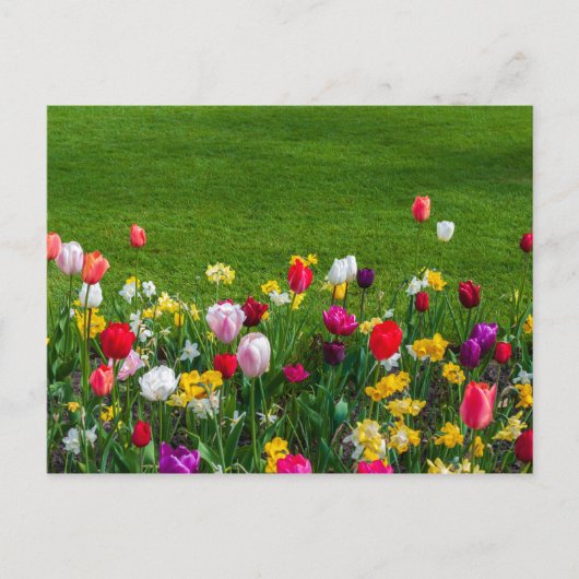Carte postale des fleurs du printemps (Devant)