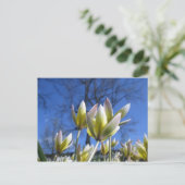 Carte postale des fleurs du printemps (Debout devant)