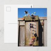 Carte Postale Des fubby qui grimpent dans une maison d'oiseaux. (Devant / Derrière)