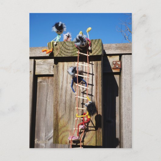 Carte Postale Des fubby qui grimpent dans une maison d'oiseaux. (Devant)