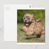 Carte Postale Des Galeries De Marionnettes Havanaises À Travers (Devant / Derrière)